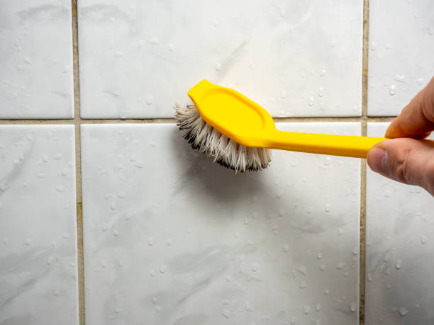 Best Mold Removal Company Near Me  in Hill City, KS