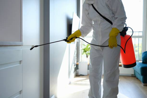Attic Mold Removal in Hill City, KS